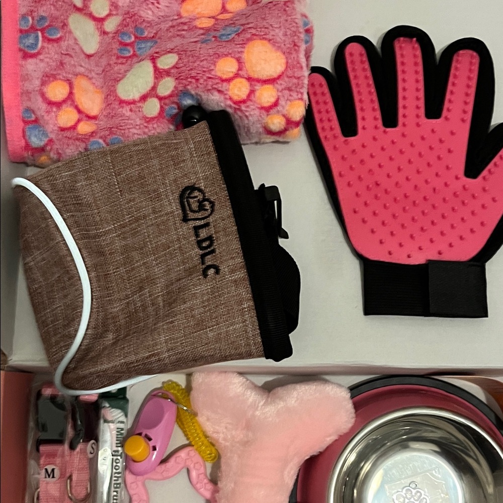 Pink Pet Kit with Glove and Toys in Beautiful Pink Box - Picture 8 of 11